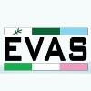 EVAS Group Logo
