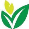 Evolve Treatment Centers Logo
