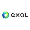 Exal Corporation Logo