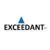 Exceedant Logo