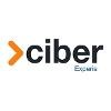 Experis Ciber Logo