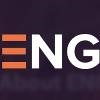 Expert Network Group Logo
