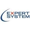 Expert System Logo