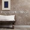 Exquisite Surfaces Logo