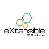 eXtensible IT Solutions Logo