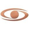 Eye Consultants of Texas Logo