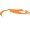 Eyewitness Surveillance Logo