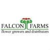 Falcon Farms Logo