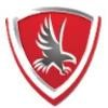 Falcon Insurance Group Logo