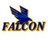 Falcon Motor Xpress Logo
