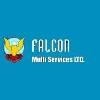 Falcon Multi Services Logo