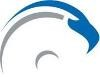 Falcon Technologies Logo