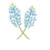 Family Medical Home Logo