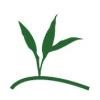 Family Psychological Services of Kirkland Logo