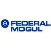 Federal-Mogul Wiesbaden Logo