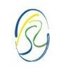Federal Standard Abstract Logo