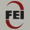 FEI, LLC Logo