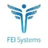 FEi Systems Logo