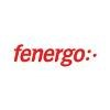 Fenergo Logo