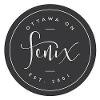 Fenix Solutions Logo