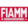 FIAMM Logo