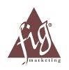 Financial Independence Group Logo
