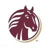 First Federal Savings Bank Logo