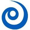 First Insight Logo