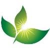 FirstLight Home Care Logo