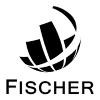Fischer & Company Logo