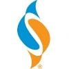 Fishman Stewart Logo