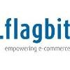 Flagbit Logo