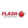 Flash Europe International Logo