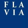 Flavia IT Management Logo