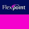Flexpoint Logo