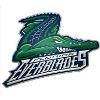 Florida Everblades Logo