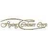 Flying Colours Corp Logo