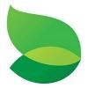 FoodMaven Logo