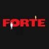 Forte Systems Logo