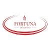 Fortuna Enterprises Logo