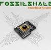 FossilShale Embedded Technologies Logo