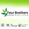 Four Brothers Group Logo