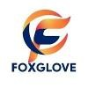 Foxglove Connect Logo