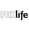 Foxlink Group Logo