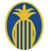 Franklin Synergy Bank Logo