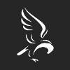 Freedom Credit Solutions Logo