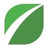 Fresh Consulting Logo