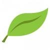 FreshBooks Logo