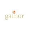 Gainor Logo