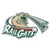 Gary SouthShore RailCats Logo